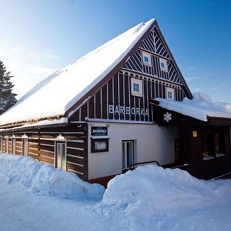 Hotel Penzion Barborka Rokytnice nad Jizerou Zewnętrze zdjęcie